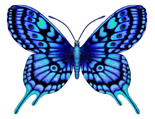 Рисунок синей бабочки