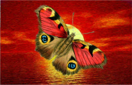 Нарисованная бабочка