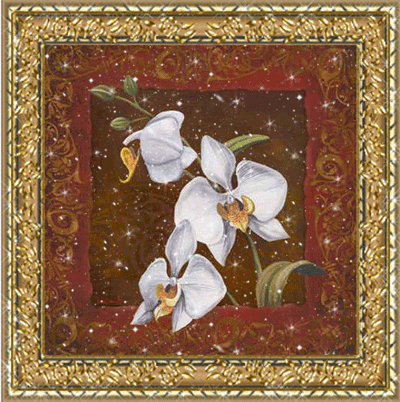 рисунок белой орхидеи