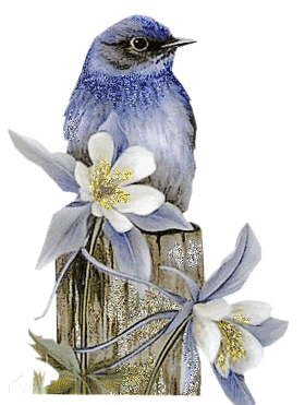Блестящая синяя птица