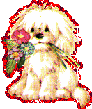 собака с цветами