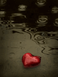 сердце под дождем