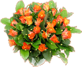 Круглый букет оранжевых роз