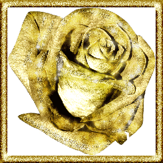 золотая роза