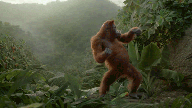картинка танцующей обезьянки