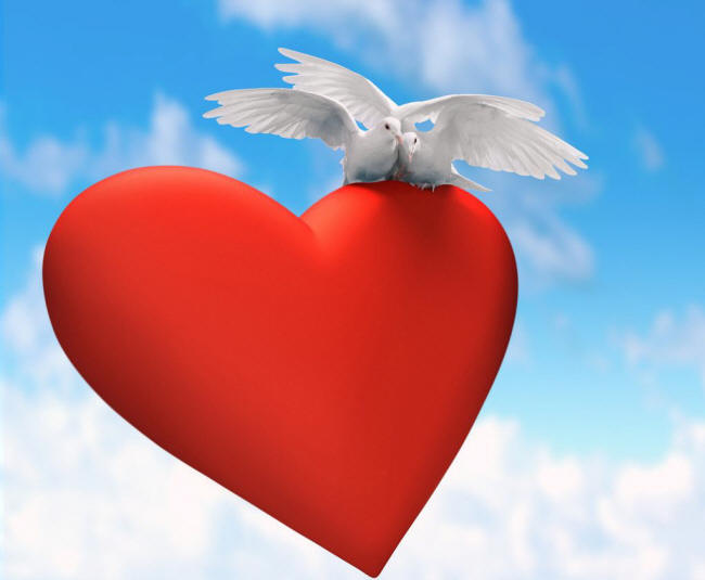 сердце и белые голуби