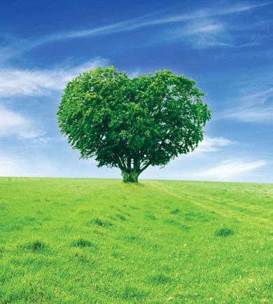 дерево в форме сердца