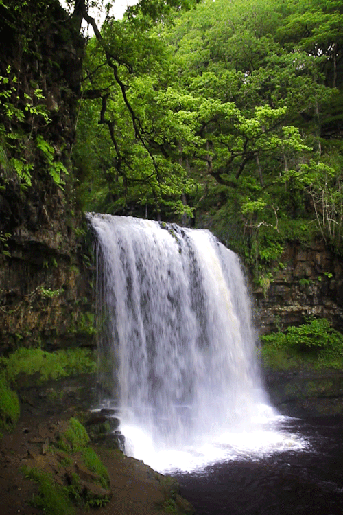 водопад в лесу