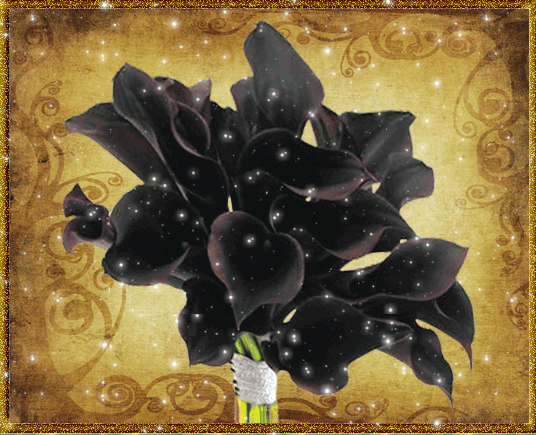 букет черных цветов