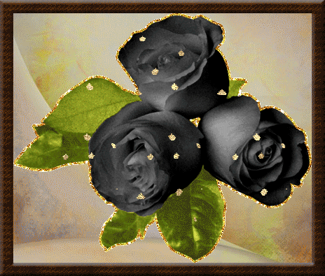черные розы