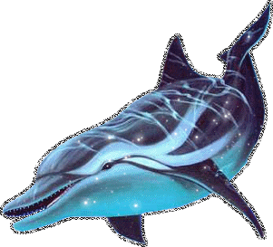 нарисованный дельфин