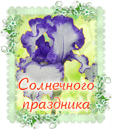 открытка с ирисом