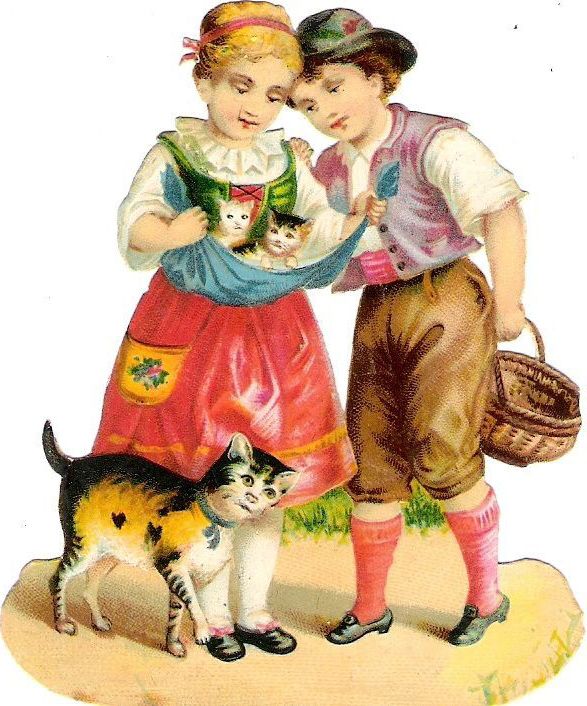 Дети и котята