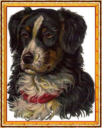 старинный портрет собаки