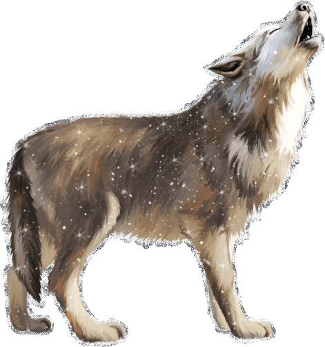 Картинка волка на прозрачном фоне