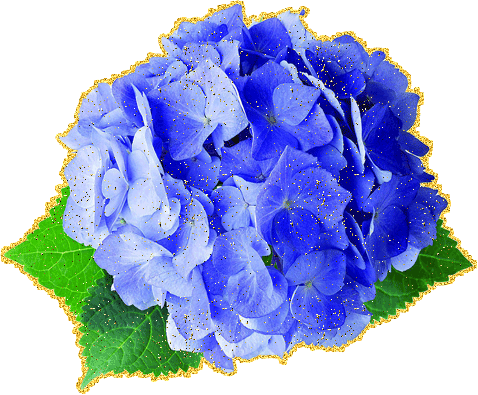 Синие цветы на красивых картинках