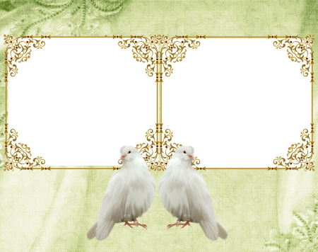 Рамка с белыми голубями