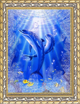 Картинки дельфинов