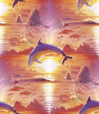 дельфин на закате