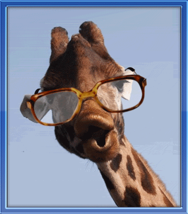 жираф в очках