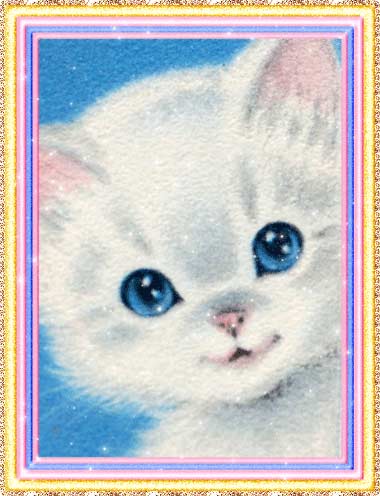 Картинка белой кошки