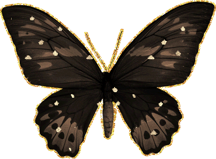 черная бабочка