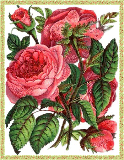 Ретро рисунок с розами