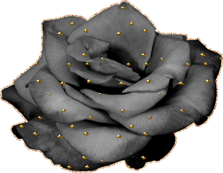анимация черной розы