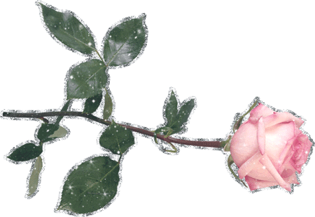 роза лежа