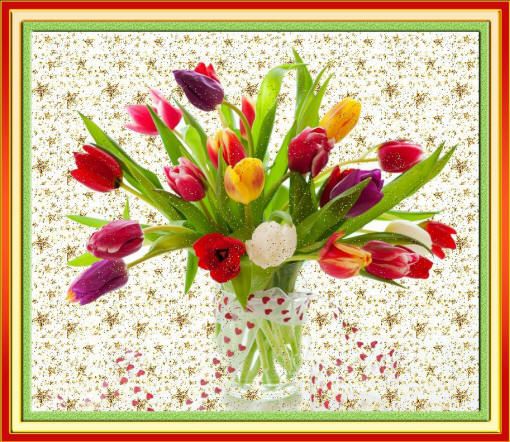 букет разноцветных цветов тюльпанов