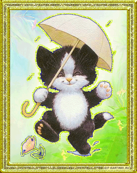 радостный кот под зонтом