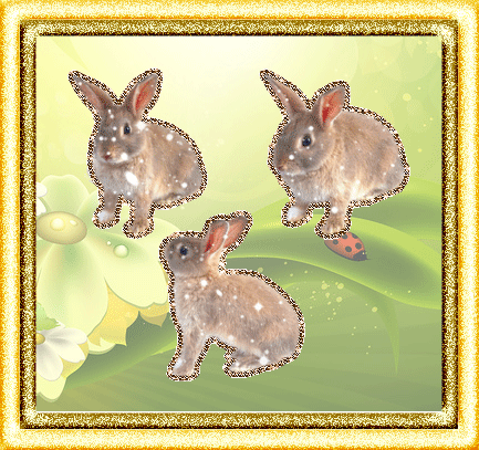 три зайца