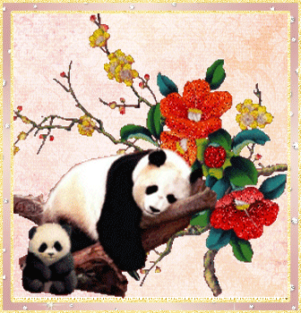 панды на дереве