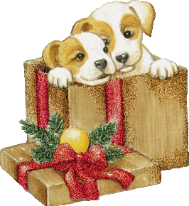 щенок в подарок