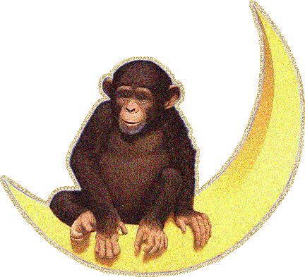 картинка обезьяны