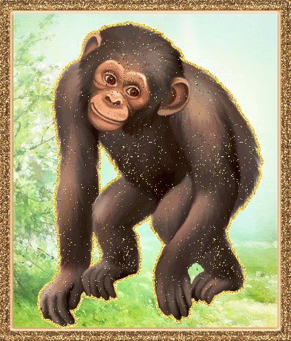 Рисунок шимпанзе