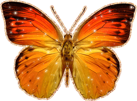 блестяшка бабочка