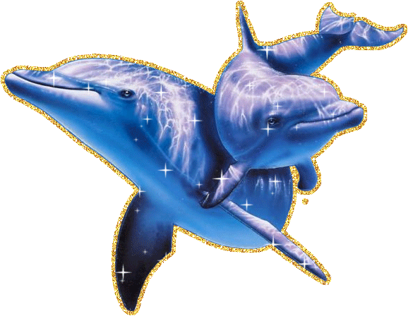синие дельфины