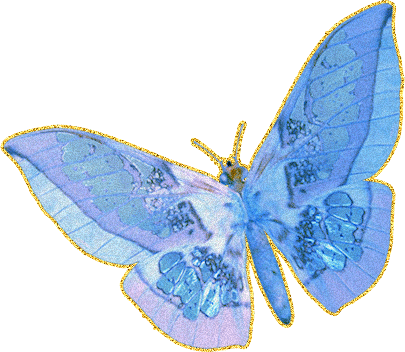 голубая бабочка