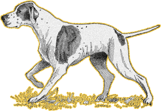 Черно-белый рисунок собаки