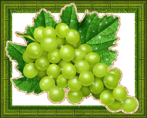 блестяшка виноград