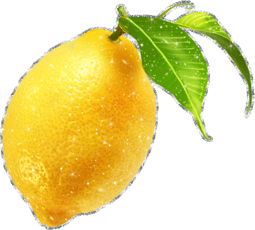 лимон с веточкой