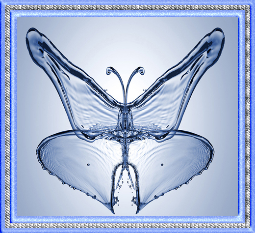 Бабочка из воды