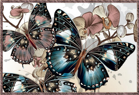 нарисованные бабочки