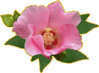Розовый блестящий цветок
