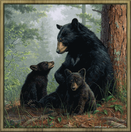 медведица с медвежатами